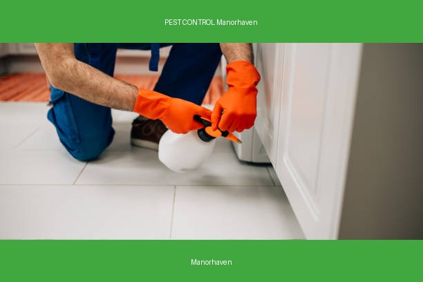 PEST CONTROL Manorhaven